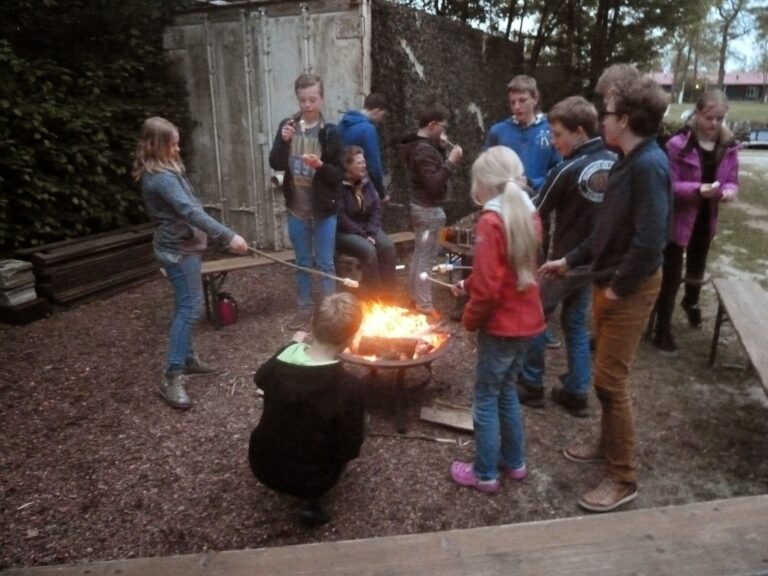 Schaakkamp Op Hemelvaartsdag verzamelden een 17-tal jeugdige schakers…