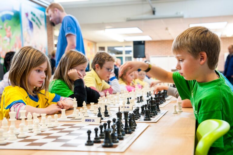 Schoolschaken Op woensdag 18 november wordt het jaarlijkse schoolschaaktoernooi…