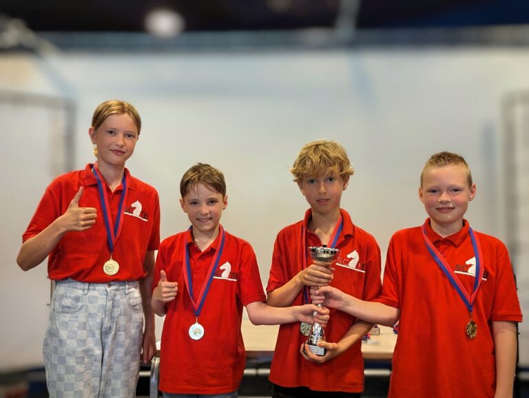 D-team wint titel Noordelijke schaakbonden, tweede team ook naar het NK