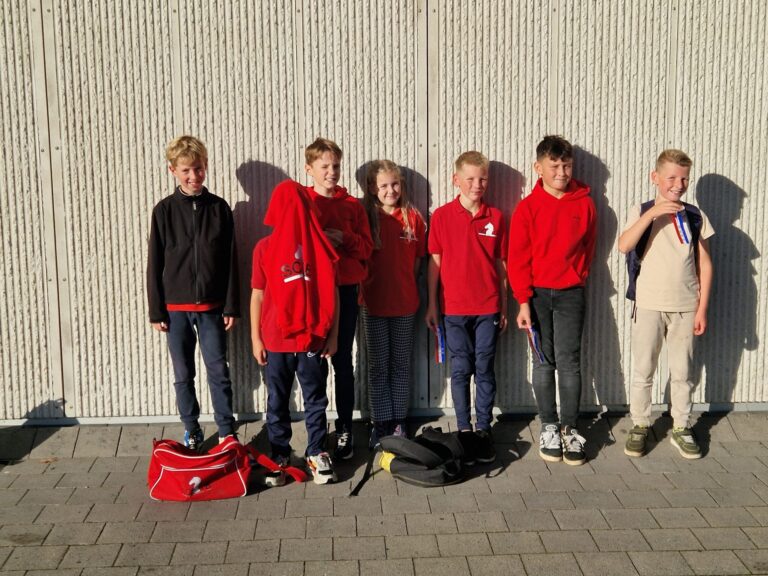 De halve finale van het NK E-teams
