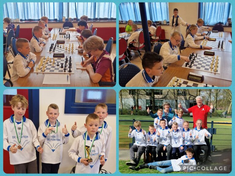 Geslaagd provinciaal kampioenschap schoolschaken