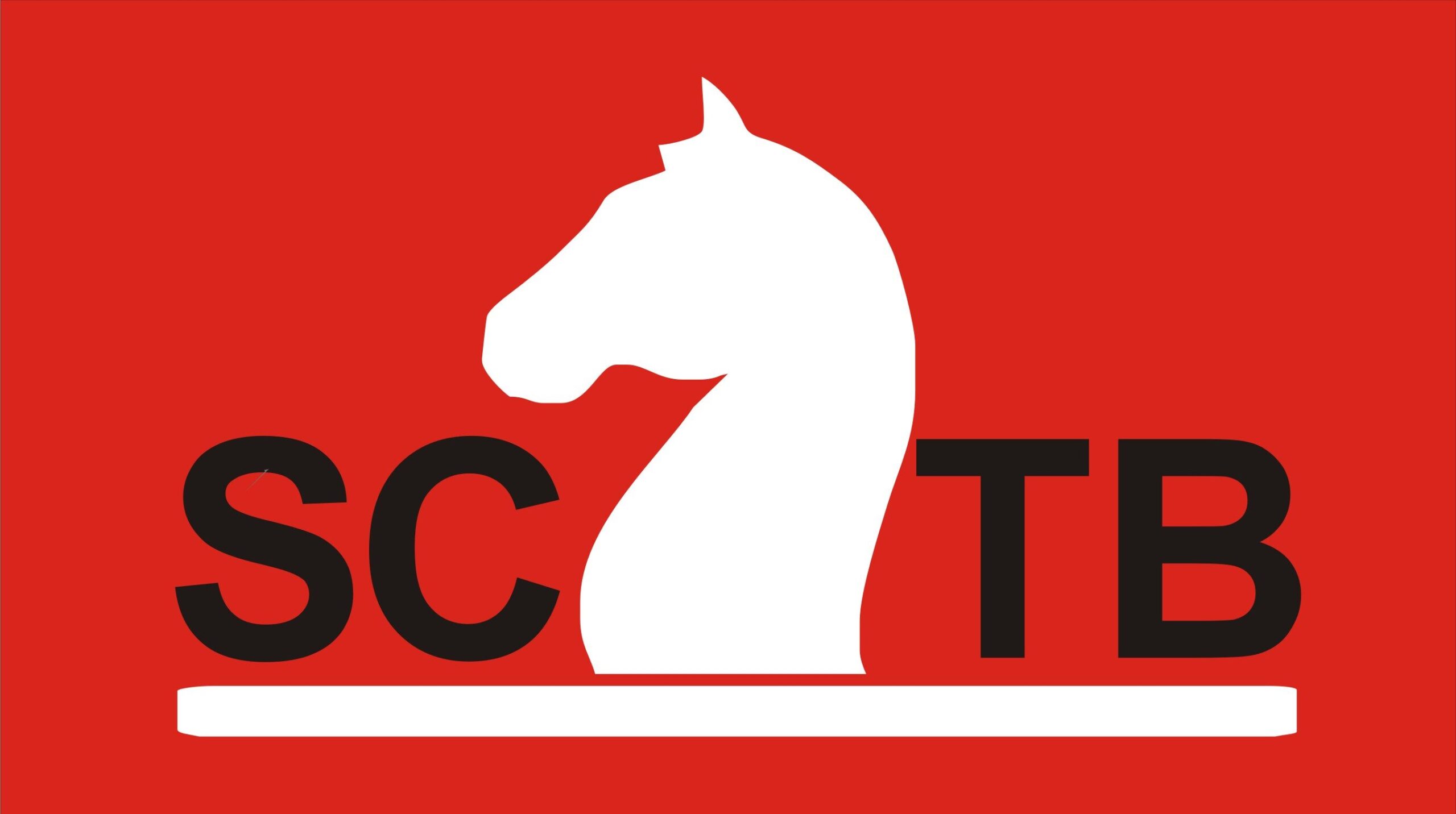 Logo Schaakclub Ten Boer